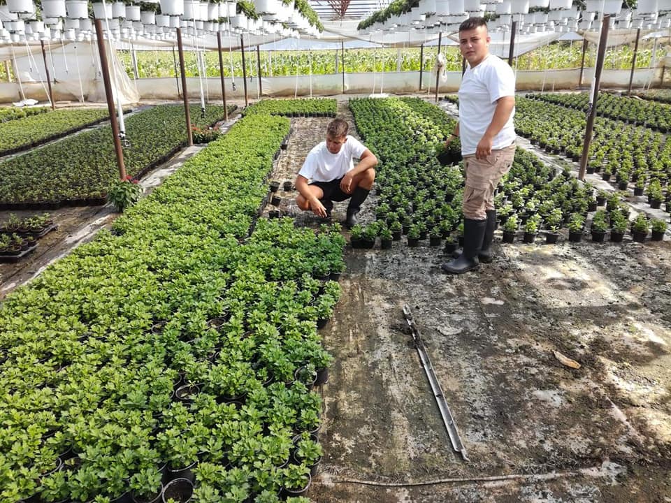 Техничар за фитомедицина